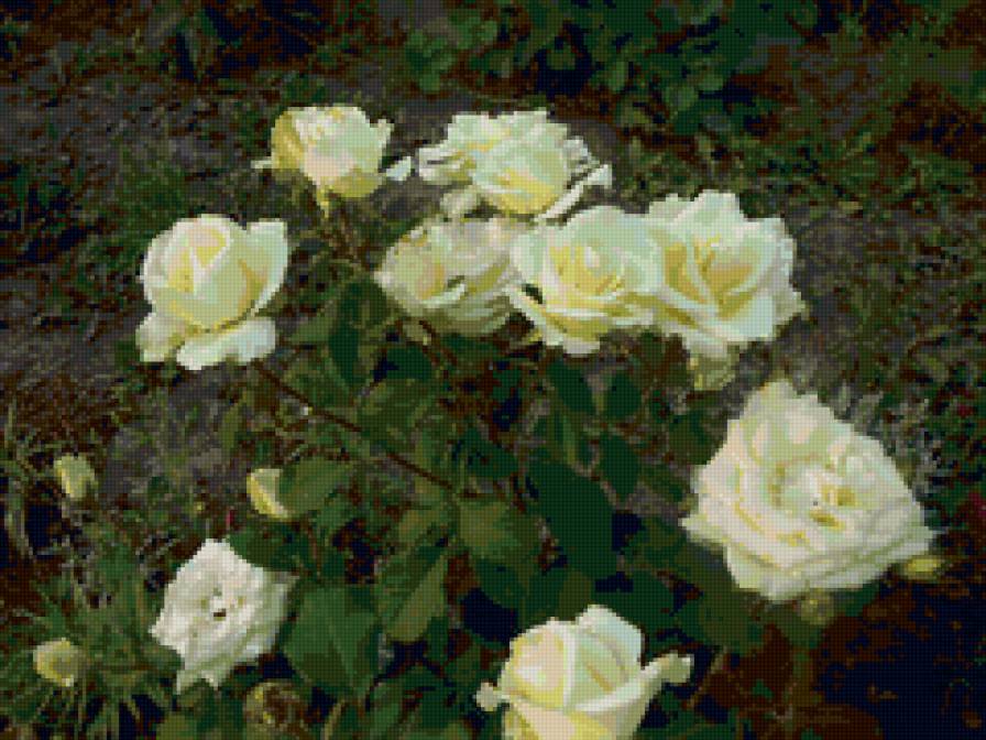 Розовый куст - розы, цветы - предпросмотр