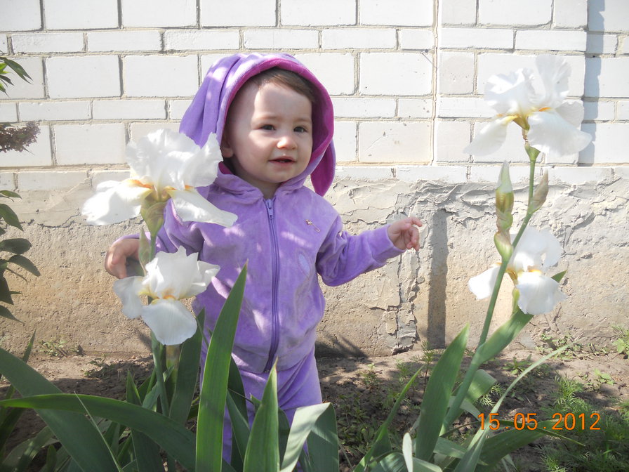 Настюшка - зайка, ребенок, девочка - оригинал