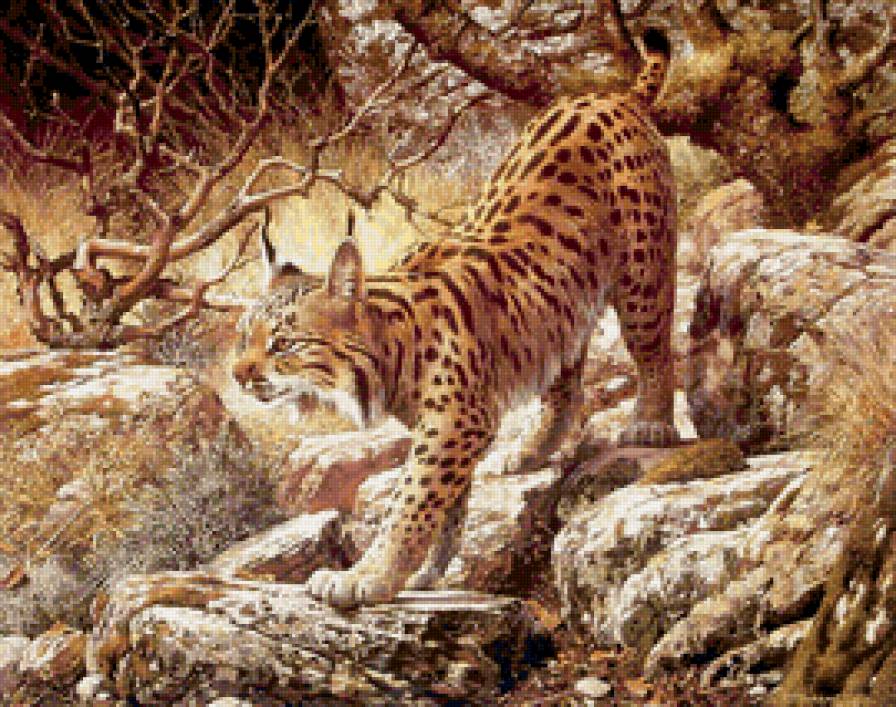 Художник Brenders Carl - рысь, кошка, хищник, животные - предпросмотр
