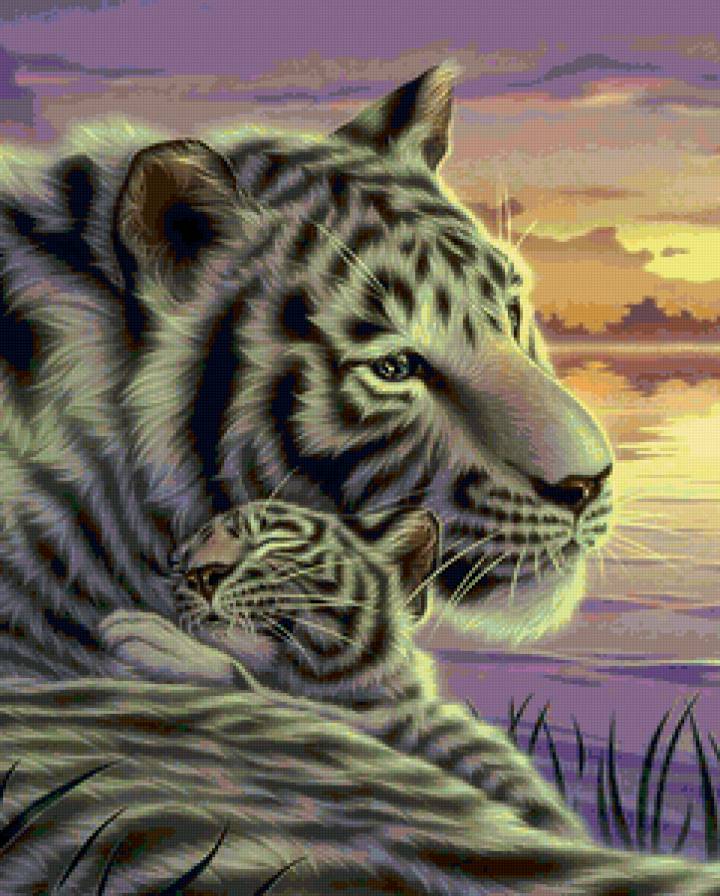 белые тигры - большие кошки, тигры, животные, хищники - предпросмотр