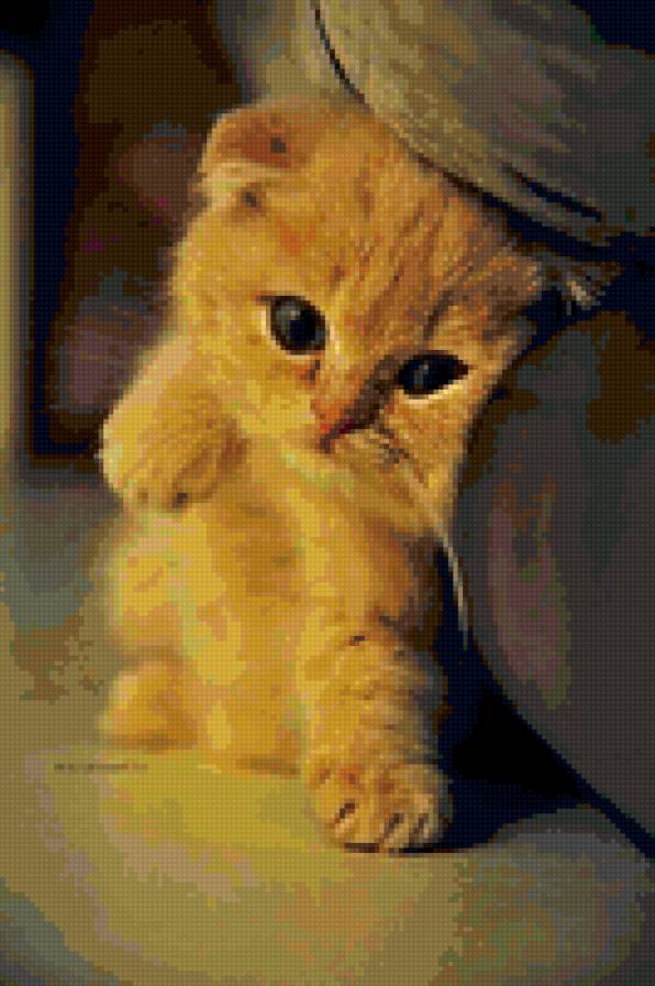 кот - предпросмотр