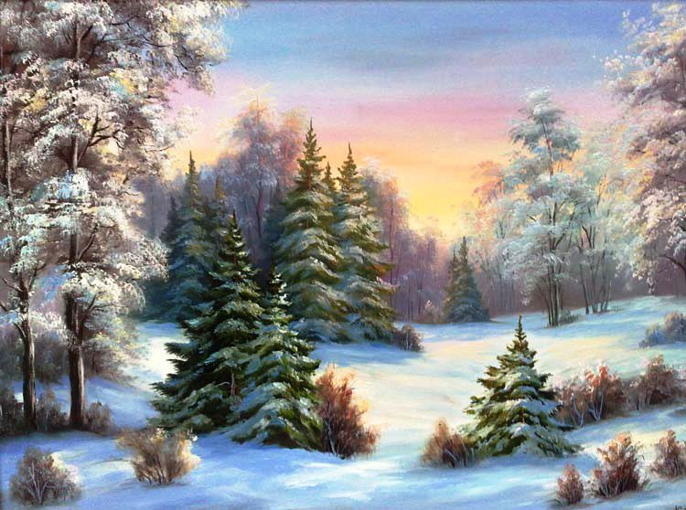 Зимний лес - зима, природа, иней, снег, зимняя картина, пейзаж, ели, лес - оригинал