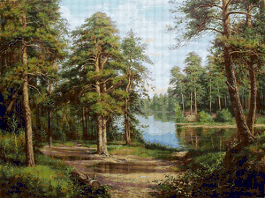 В сосновом бору - пейзаж, природа, красота природы, река, лес, сосны - предпросмотр