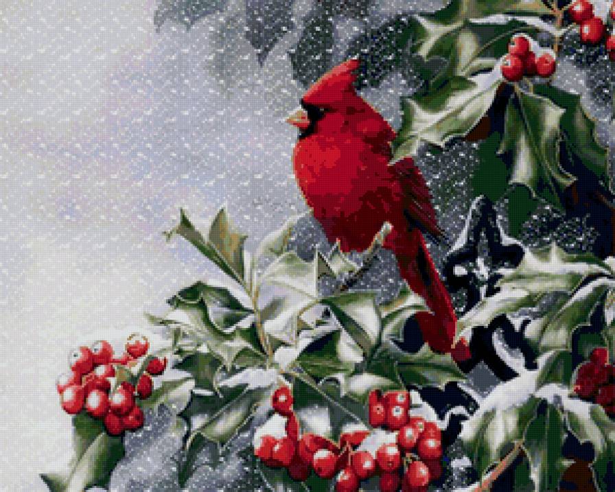 Кардинал - зима, птицы, птички и ягодки, кардинал, ягодки, рождество, птица - предпросмотр