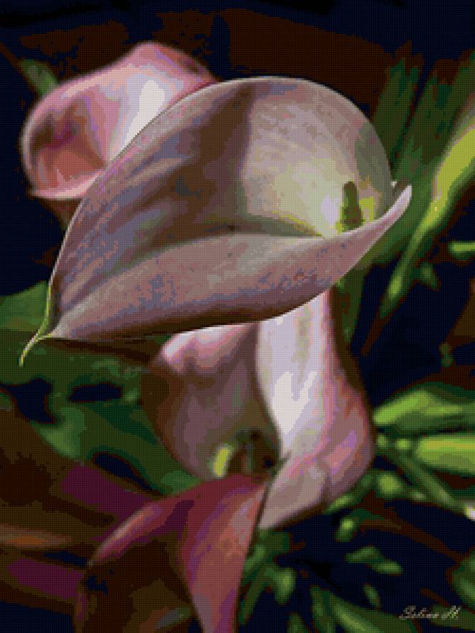 №103140 - картина, цветы - предпросмотр