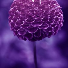 Схема вышивки «№103151»