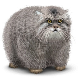 №103167 - животные, кошки, подушка, картина - оригинал