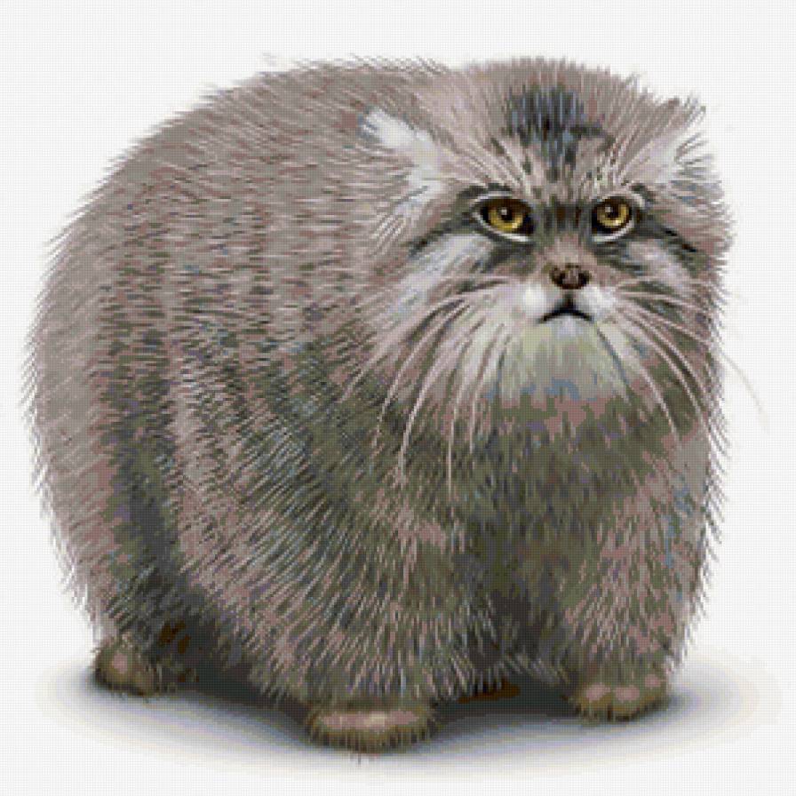 №103167 - картина, подушка, кошки, животные - предпросмотр