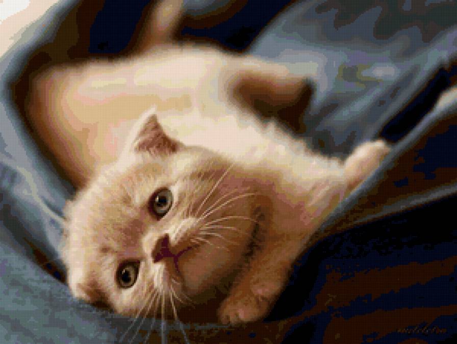 №103187 - картина, кошки, животные - предпросмотр