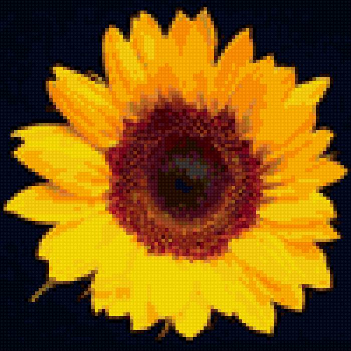 Подсолнух - лето, подсолнух, цветы - предпросмотр