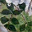 Предпросмотр схемы вышивки «Белый шиповник и вишневая россыпь» (№103450)