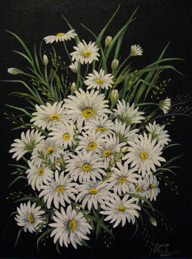 Ромашки на черном фоне - ромашка, цветы - оригинал