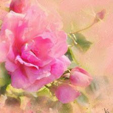 Схема вышивки «акварель»