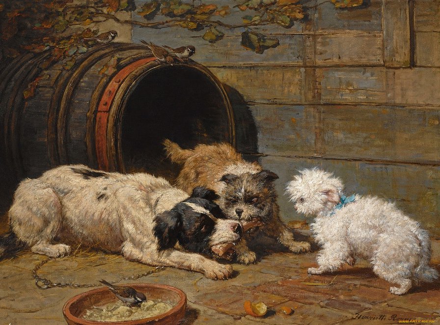 животные - оригинал