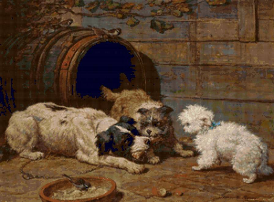 животные - предпросмотр