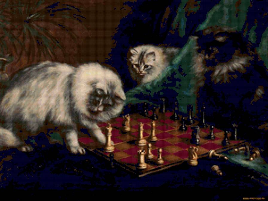 коте - предпросмотр