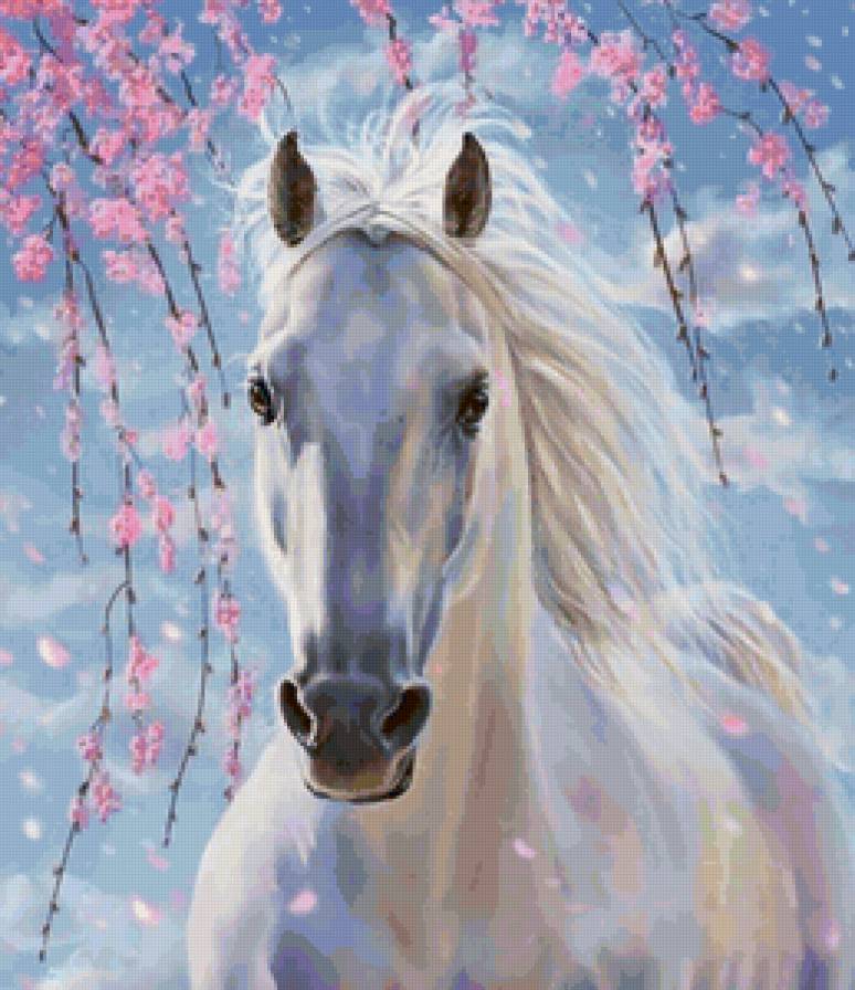 белый конь - небо, цветы, лошади, кони, животные - предпросмотр