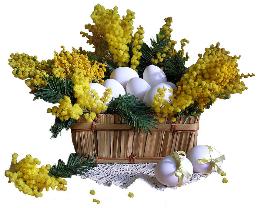 мимоза - цветы, пасха - оригинал