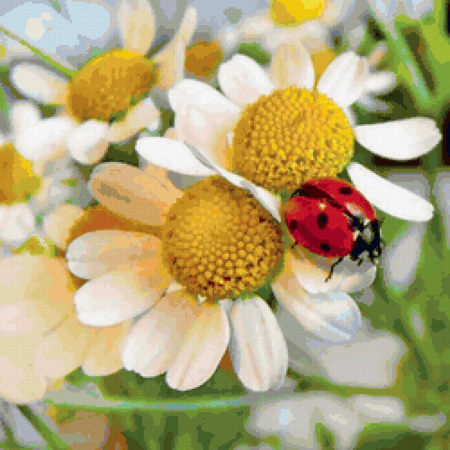 Ромашки - живопись, цветы, подушка - предпросмотр