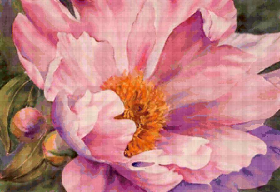 Серия "Букет" - цветы, пионы - предпросмотр