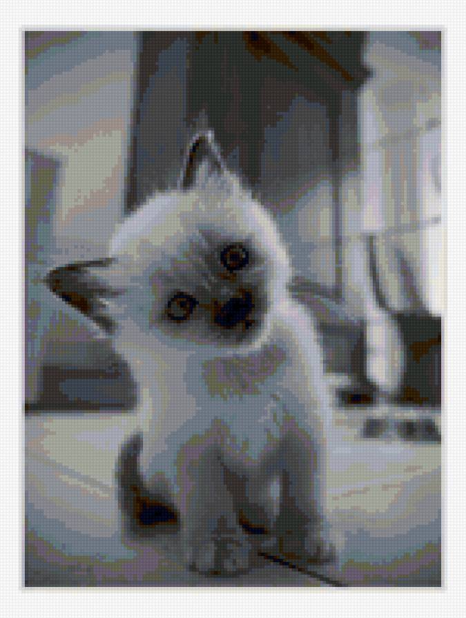 Кися - животные, черно-белый, котенок - предпросмотр