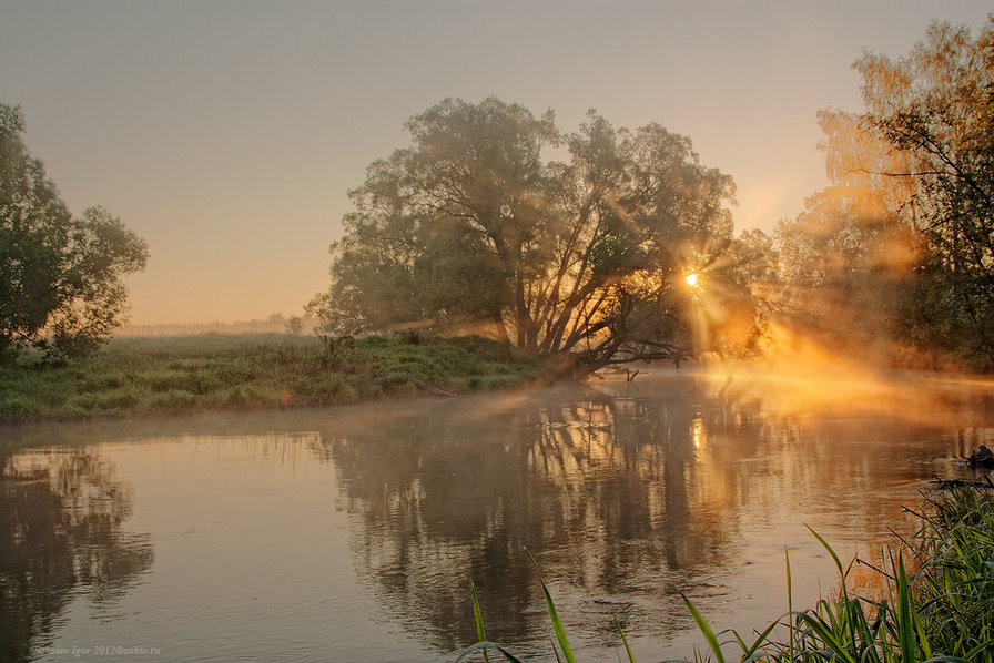 Утро на реке - природа, река, утро, солнце - оригинал