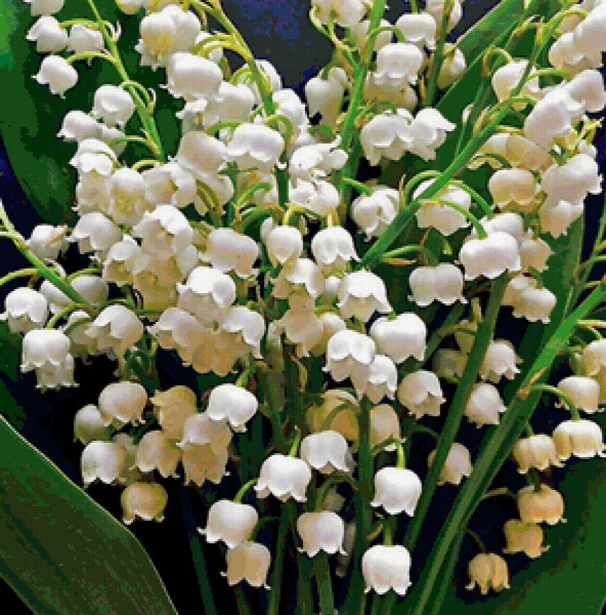 №104012 - цветы - предпросмотр