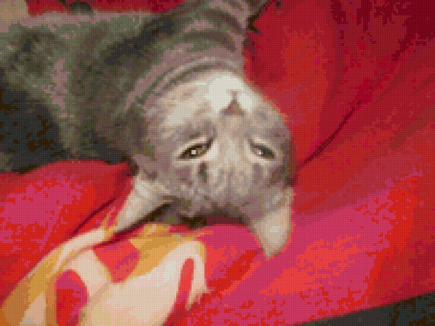 №104036 - предпросмотр