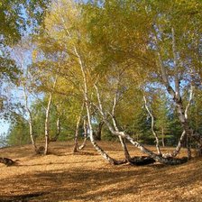 Схема вышивки «Осень»