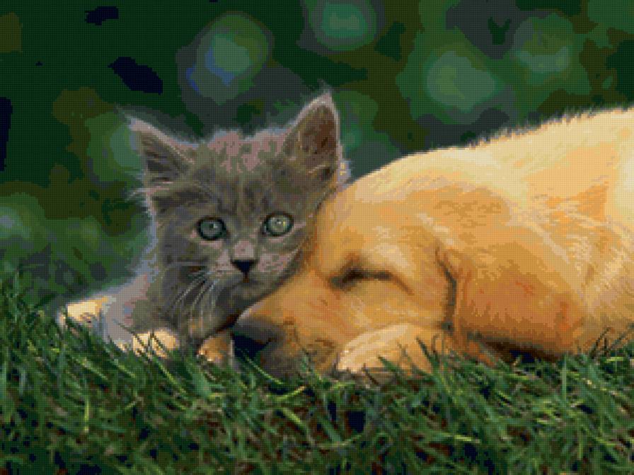 Жили два друга-товарища - щенок, котенок, животные - предпросмотр