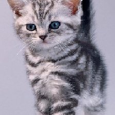 Схема вышивки «№104101»