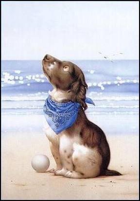 Серия "Детское" - море, собаки, животные - оригинал