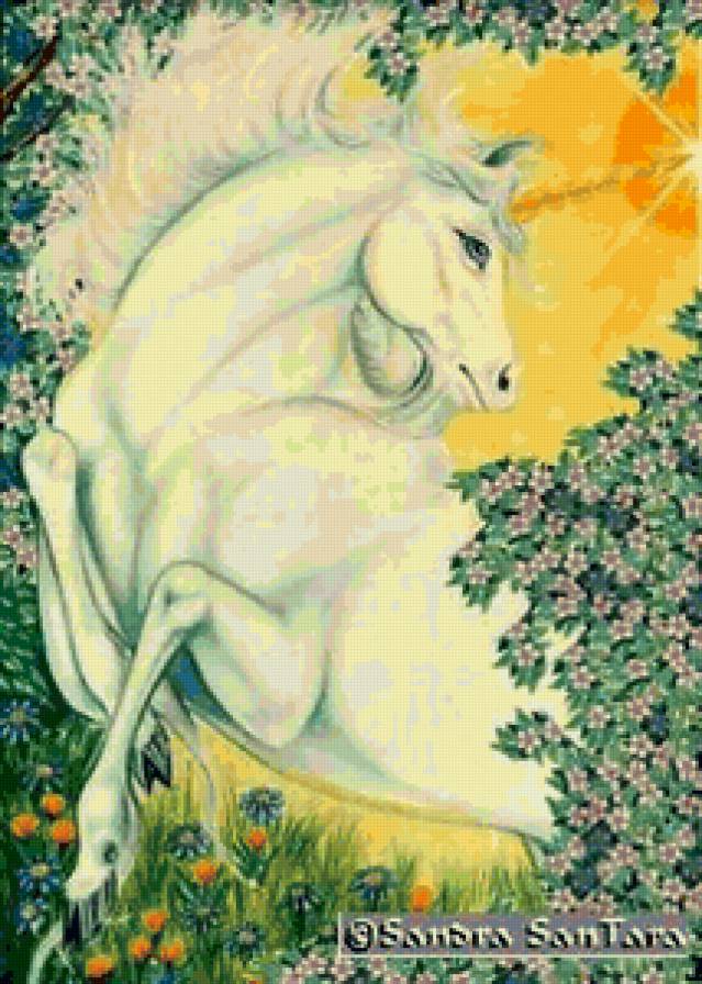 в лучах солнца - конь, животные - предпросмотр