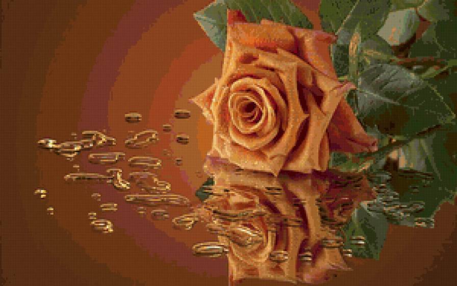 Роза - цветы, розы, картина - предпросмотр