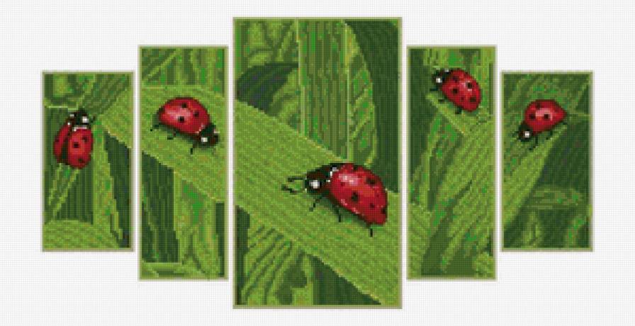 Божьи коровки 1 - божьи коровки, насекомые, картина, лето.природа - предпросмотр