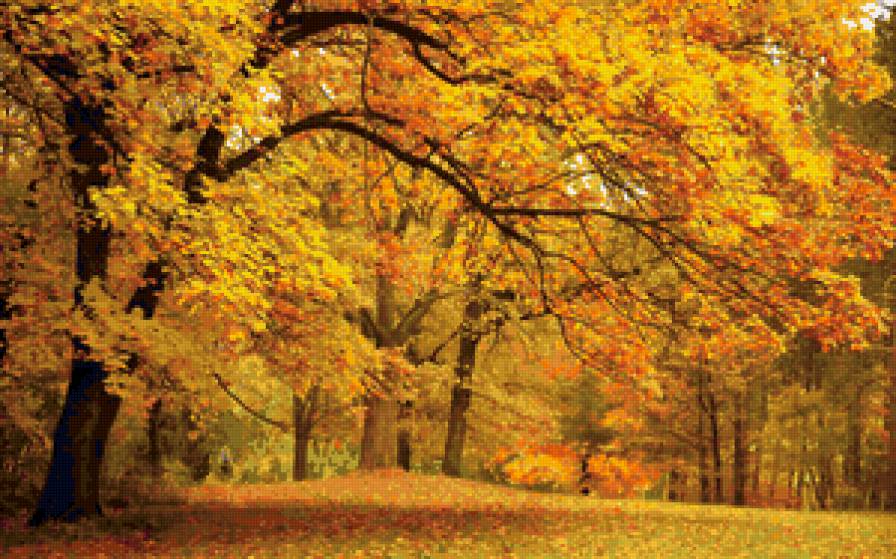Лес осенью - природа, осень, картина - предпросмотр