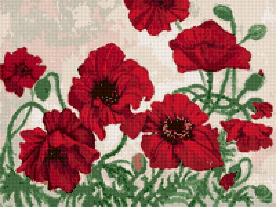 маки - маки, цветы - предпросмотр