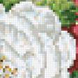 Предпросмотр схемы вышивки «№104552»