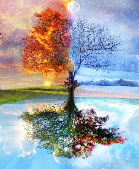 Древо Жизни - дерево, пейзаж, озеро, божество, природа, божественное - оригинал