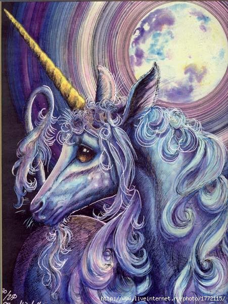 Единорог - лошадь, мифы, животные, выдумки, сказки, легенды, кони - оригинал