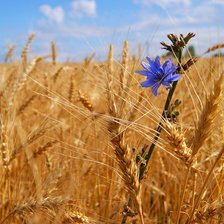Схема вышивки «Пейзаж»