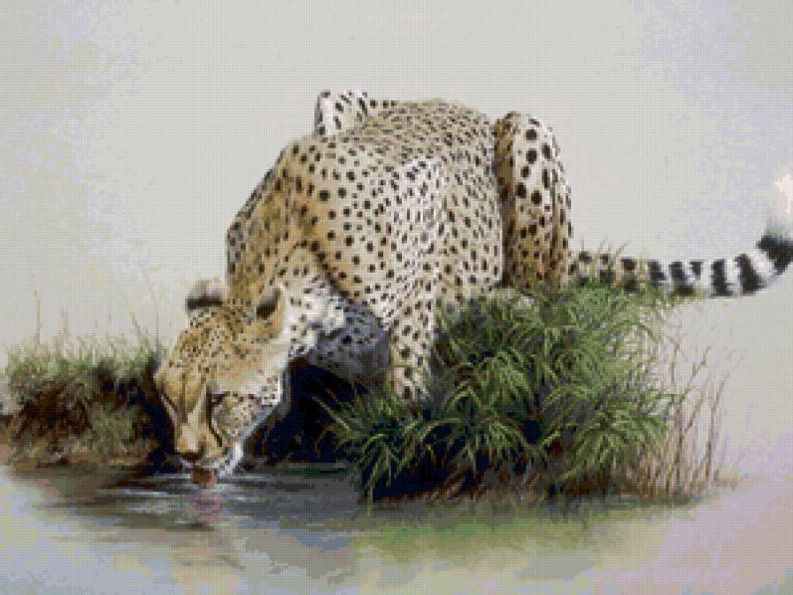 582 - животные - предпросмотр