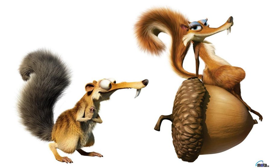 белки - оригинал