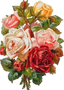Розы - цветок, букет, розы, цветы, красота, роза - оригинал
