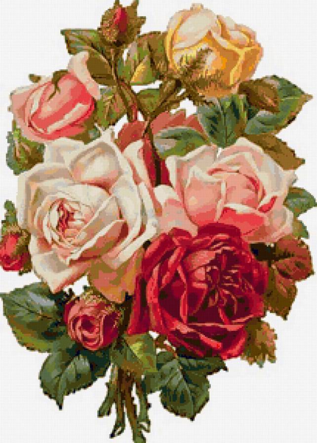 Розы - цветок, красота, розы, цветы, роза, букет - предпросмотр