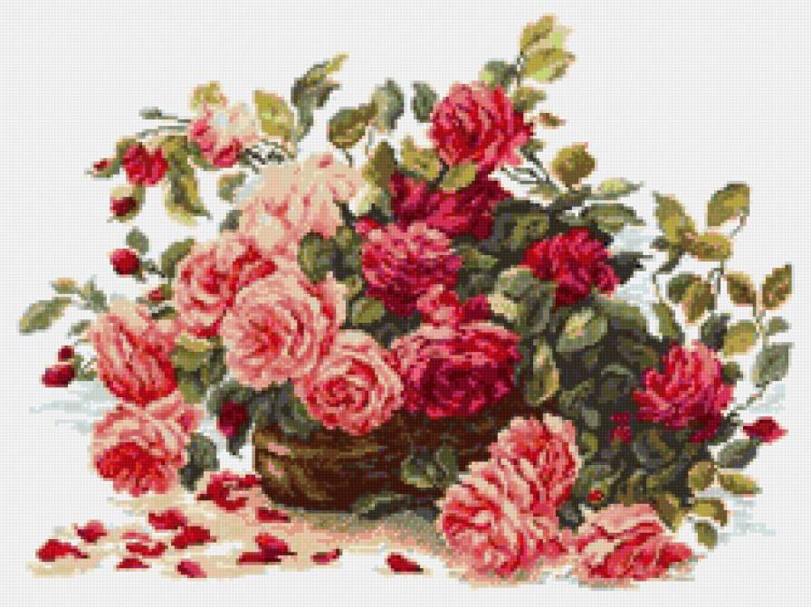 Розы - цветы, букет, розы - предпросмотр