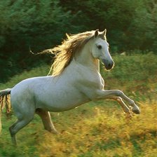 Схема вышивки «Навстречу ветру»