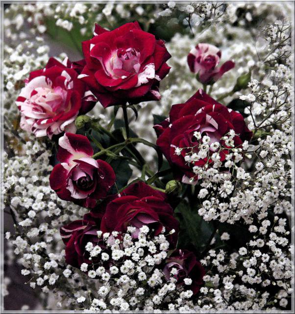 подушка - оригинал