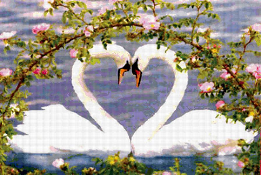 лебеди - предпросмотр