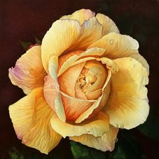 Схема вышивки «Серия "Букет"»